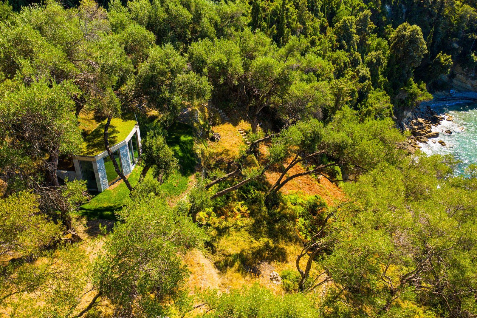 8c677277fd2022b15bc7cbd9b9db34b3_1706274289