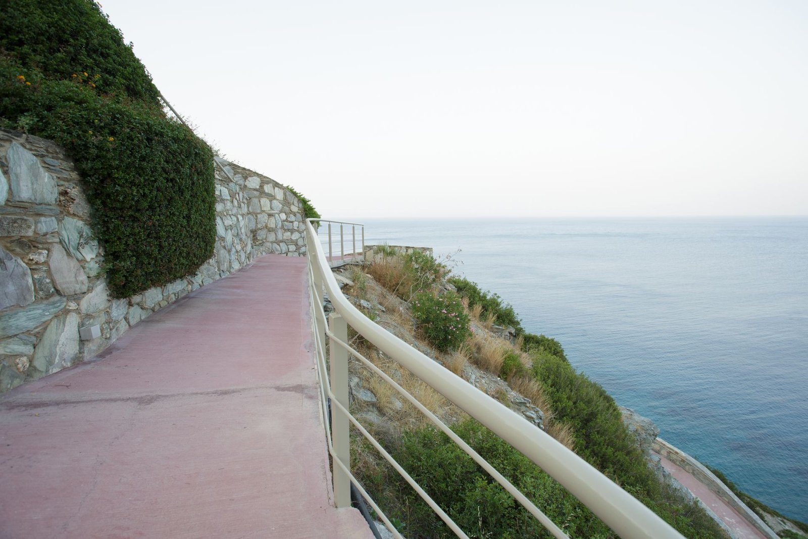 8cae484adf4ea17ad154aa409e0b87b7_1650445565