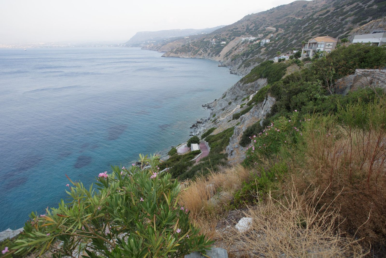 9833c8f3d0c3ce67f01a0cacb2548aaf_1650445561